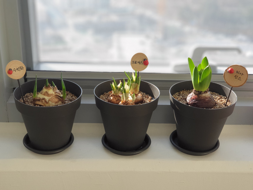 6c82611e3e723bcd1189dc2878b6695f_1695100335_3883.jpg 6c82611e3e723bcd1189dc2878b6695f_1695100335_3883.jpg