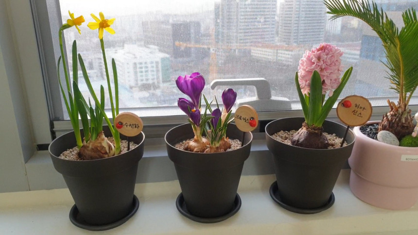 6c82611e3e723bcd1189dc2878b6695f_1695100349_0534.jpg 6c82611e3e723bcd1189dc2878b6695f_1695100349_0534.jpg