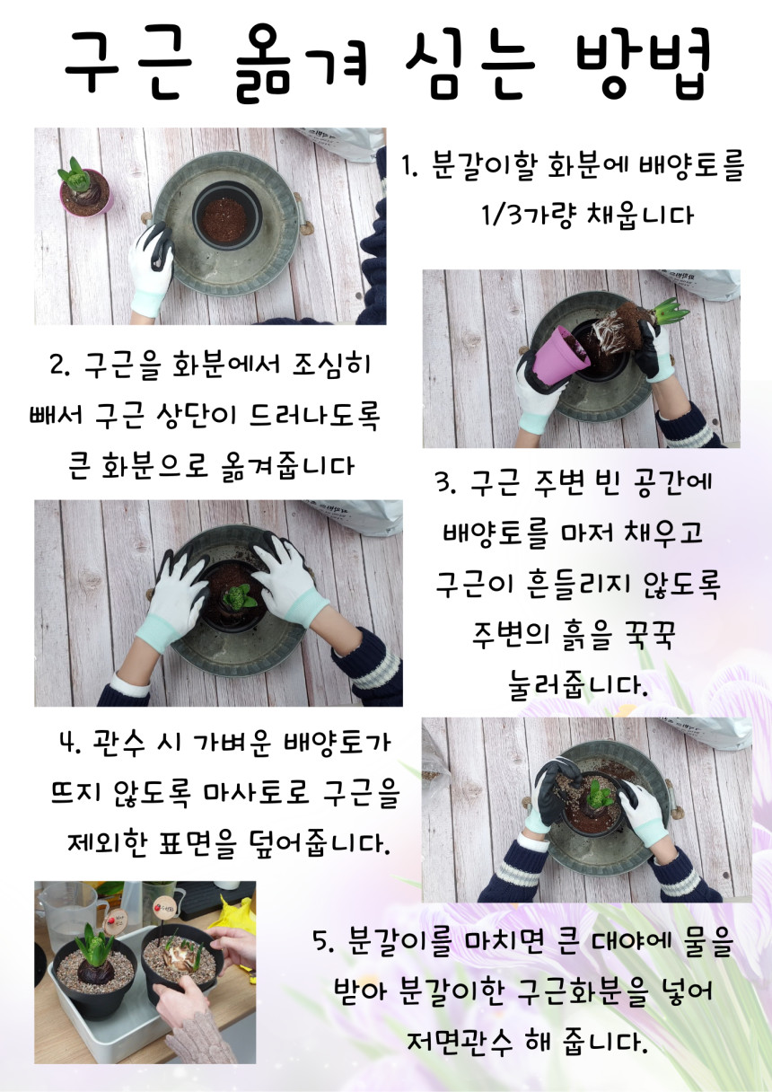 6c82611e3e723bcd1189dc2878b6695f_1695100384_632.jpg 6c82611e3e723bcd1189dc2878b6695f_1695100384_632.jpg