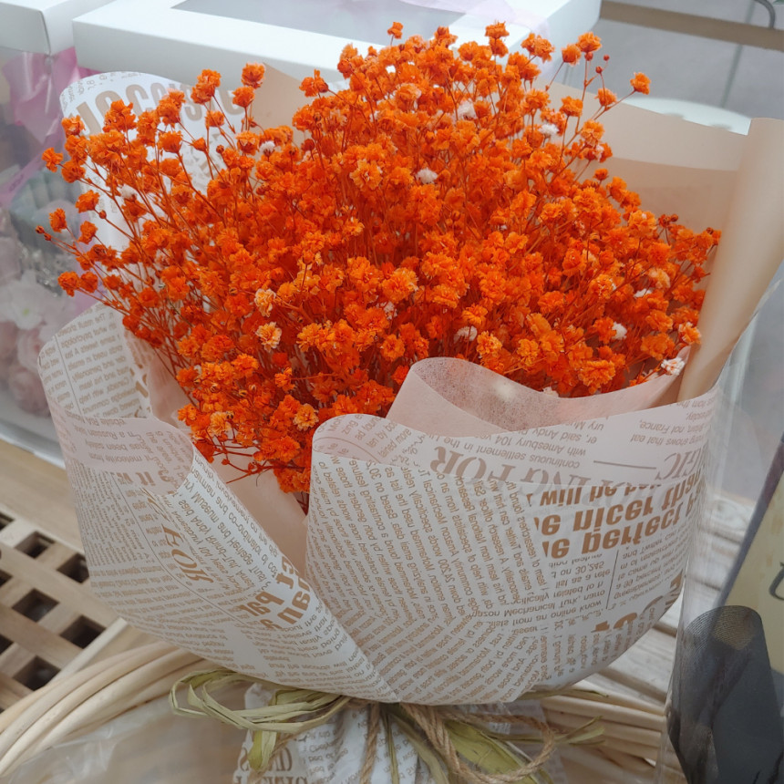 6c82611e3e723bcd1189dc2878b6695f_1695107455_9937.jpg 6c82611e3e723bcd1189dc2878b6695f_1695107455_9937.jpg