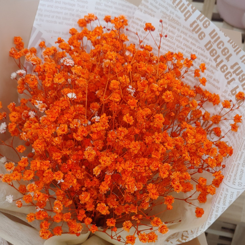 6c82611e3e723bcd1189dc2878b6695f_1695107470_5321.jpg 6c82611e3e723bcd1189dc2878b6695f_1695107470_5321.jpg