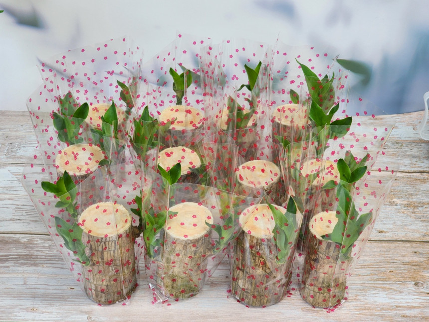 c04a8d5b0532b83d6c95cb366f4e5795_1694758595_1964.jpg c04a8d5b0532b83d6c95cb366f4e5795_1694758595_1964.jpg