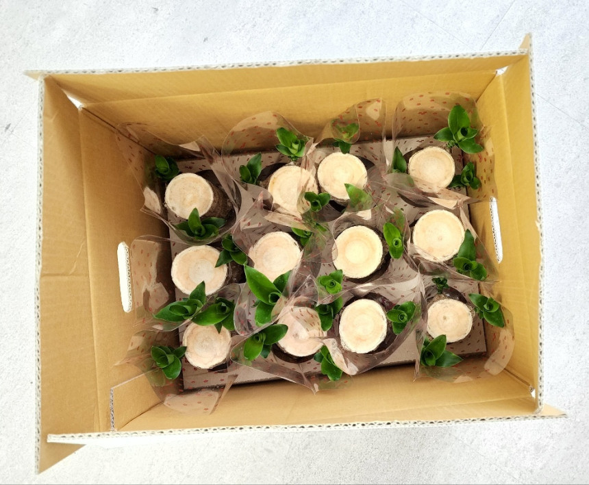 c04a8d5b0532b83d6c95cb366f4e5795_1694758605_1333.jpg c04a8d5b0532b83d6c95cb366f4e5795_1694758605_1333.jpg