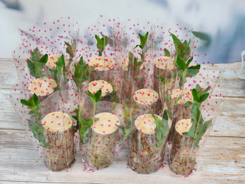 c04a8d5b0532b83d6c95cb366f4e5795_1694758611_0297.jpg c04a8d5b0532b83d6c95cb366f4e5795_1694758611_0297.jpg