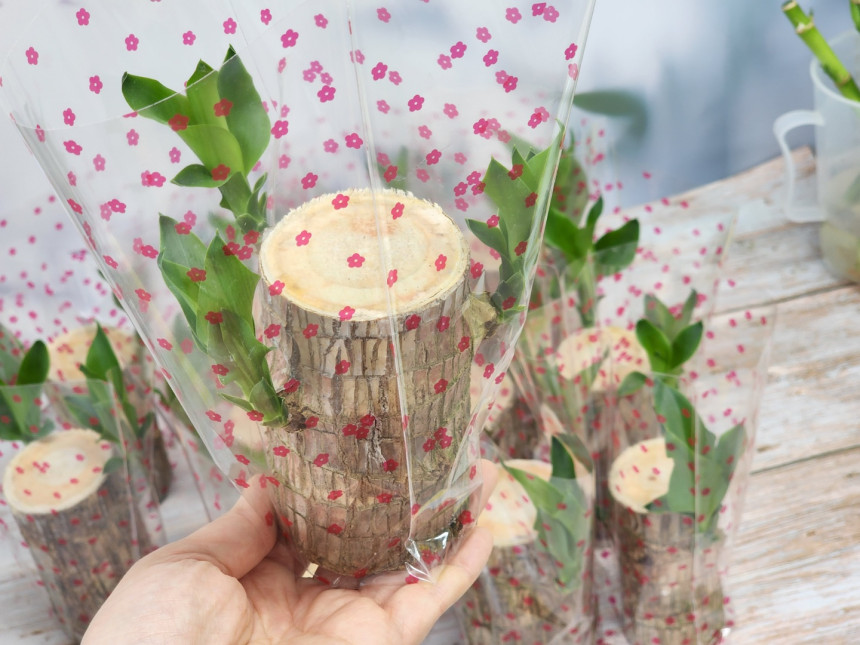 c04a8d5b0532b83d6c95cb366f4e5795_1694758613_627.jpg c04a8d5b0532b83d6c95cb366f4e5795_1694758613_627.jpg