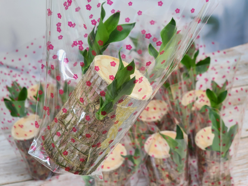 c04a8d5b0532b83d6c95cb366f4e5795_1694758615_2474.jpg c04a8d5b0532b83d6c95cb366f4e5795_1694758615_2474.jpg