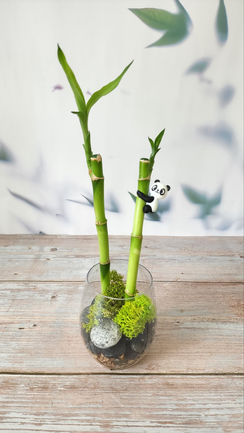 c04a8d5b0532b83d6c95cb366f4e5795_1694759270_81.jpg c04a8d5b0532b83d6c95cb366f4e5795_1694759270_81.jpg