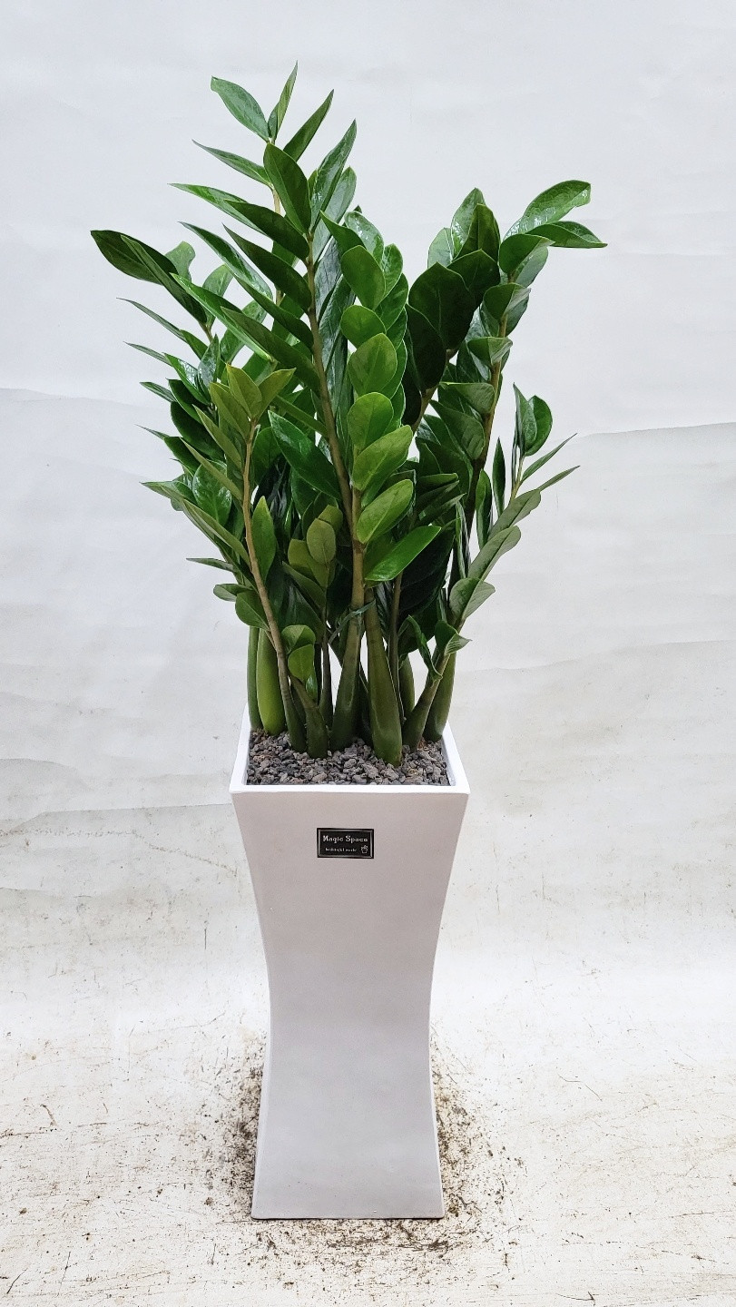 c04a8d5b0532b83d6c95cb366f4e5795_1694763197_8331.jpg c04a8d5b0532b83d6c95cb366f4e5795_1694763197_8331.jpg