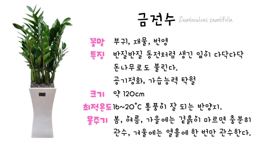 c04a8d5b0532b83d6c95cb366f4e5795_1694763201_105.jpg c04a8d5b0532b83d6c95cb366f4e5795_1694763201_105.jpg