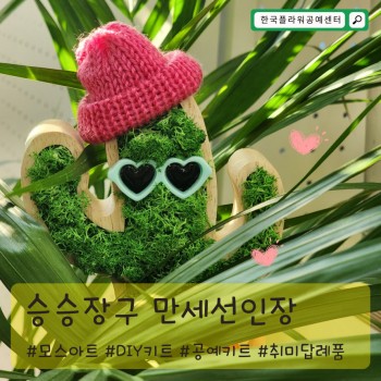 만세선인장 모스아트 DIY 문화공예키트