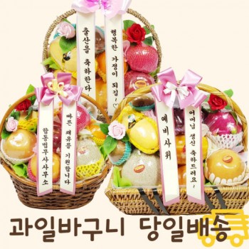 예단과일바구니 상견례 출산과일바구니 병문안 서울경기당일배송 성남 선물세트 이바지 어린이집 [원산지:국산(전라남도 장흥군)]